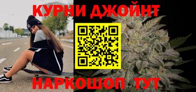 сатива Будённовск