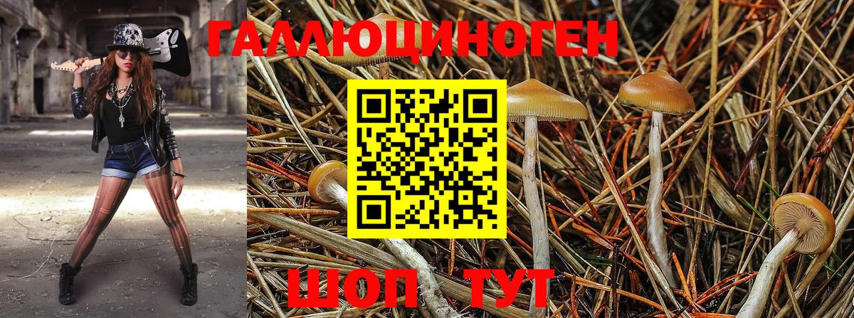 Нефтеюганск  Галлюциногенные грибы Cubensis  Вход с VPN  Галлюциногенные грибы Psilocybine cubensis 